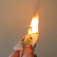 testingtn